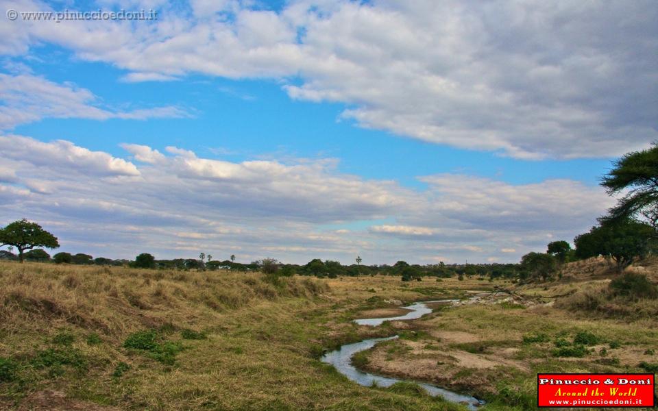 TANZANIA - Tarangire National Park - 12.jpg